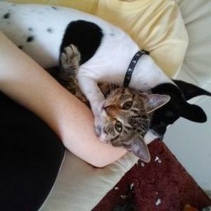 Meet your Posher, Alexis